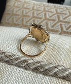 Giardinetti ring
